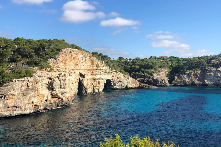 Majorque : Excursion d'une journée à Des Moro, Salmunia et LlombardsDepuis le nord : Mallorca tour Cala Des Moro, Salmunia y Llombard