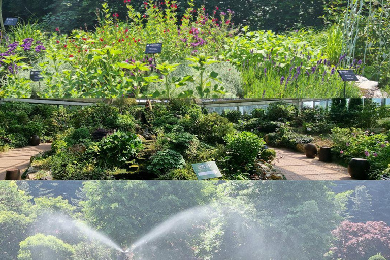 Seoul: Nami Island, Garden of Morning Calm, & Railbike Tour