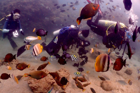 From Manila: Beginner's Scuba Diving Experience