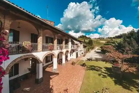 Langhe: esperienza di degustazione di vino e cibo