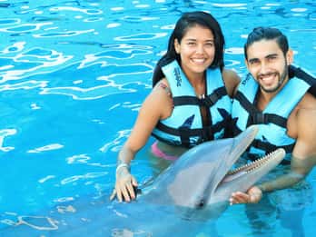 Puerto Vallarta: Dolphin Swimming and Aquaventuras Park
