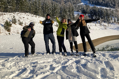 Ehrwald : Randonnée en raquettes à Zugspitze avec vue sur les montagnes