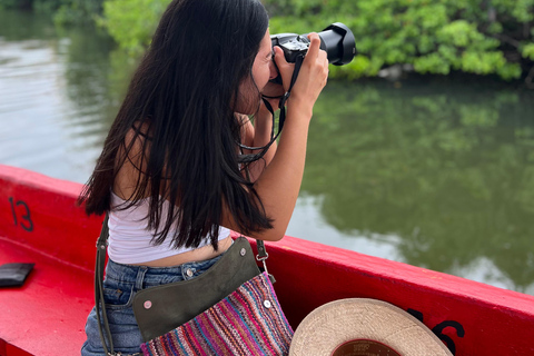 Cartagena: Vogelbeobachtung in den Mangroven auf einem typischen Boot