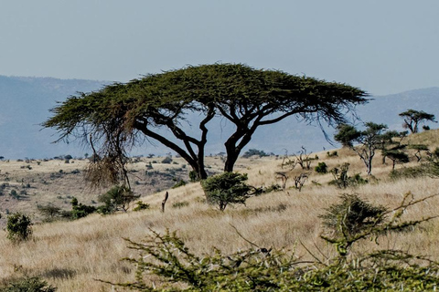 Tanzânia: 10 dias de herança alemã e história cultural