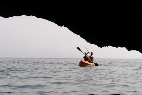 Punta de Teno: Safari en kayak por los acantilados de Los Gigantes