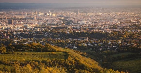 Vienna: Private Half-Day Sightseeing Tour