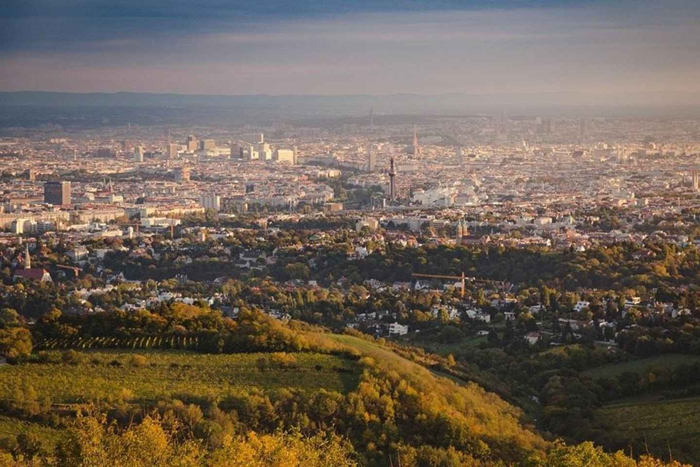 Vienna: Private Half-Day Sightseeing Tour with a Local