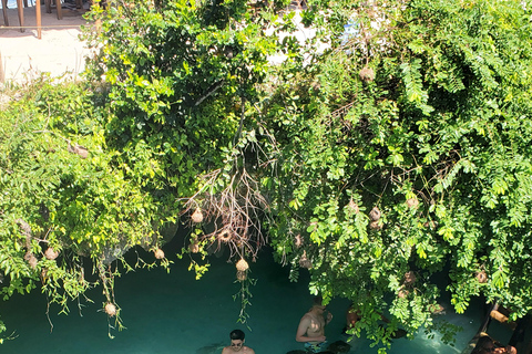 Zanzibar: la foresta di Jozani, le tartarughe marine, la grotta di Kuza e The RockTour senza servizio di prelievo e rientro in hotel