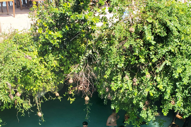 Zanzibar: la foresta di Jozani, le tartarughe marine, la grotta di Kuza e The RockTour senza servizio di prelievo e rientro in hotel