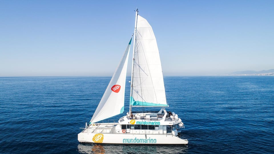 Malaga Catamaran Zeiltocht Met Zonsondergang Optie Getyourguide