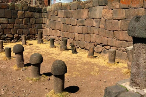 Puno : Excursion d&#039;une journée à Chucuito, Aramu Muru et Juli