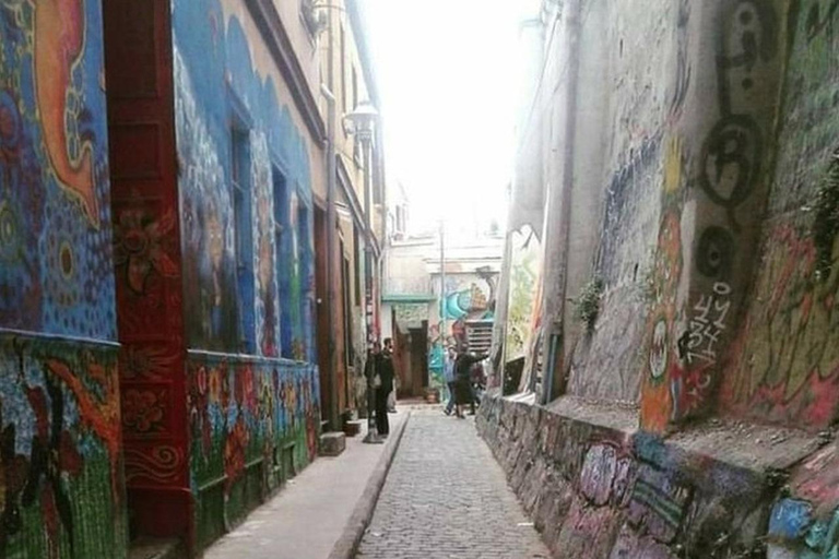 Rondleiding door straatkunstcultuur in Valparaíso en Viña del Mar