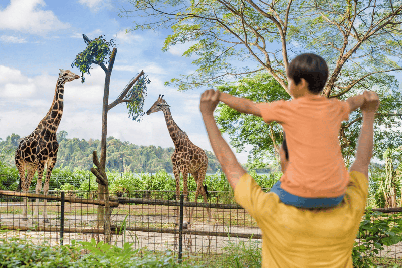 Singapore Zoo: 1-Day Entrance E-Ticket with Tram Ride