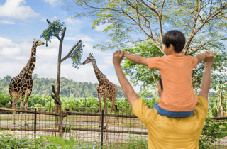 Singapur Zoo: 1-Tages-E-Ticket mit Straßenbahnfahrt
