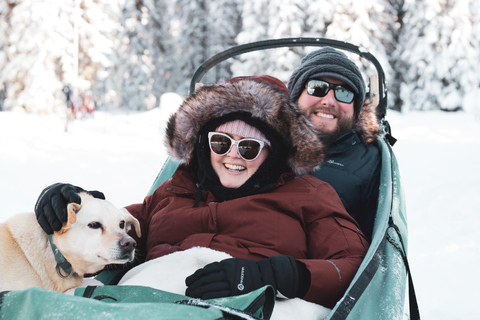 Fairbanks : Mush sur la piste historique de Yukon Quest