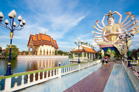 كوه ساموي: جولة نصف يوم في المدينة مع خدمة الاستقبال من الفندق