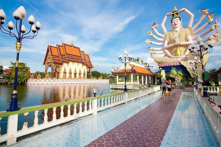 كوه ساموي: جولة نصف يوم في المدينة مع خدمة الاستقبال من الفندق