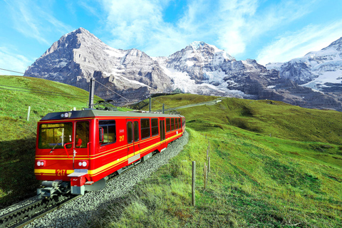 Zürich: Private Tour nach Interlaken, Grindelwald &amp; Jungfrau