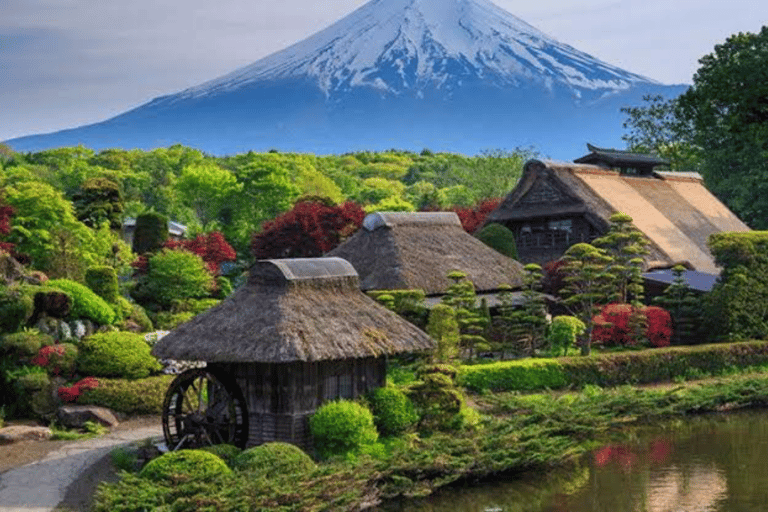 Da Tokyo: Escursione privata al Monte Fuji e ad Hakone