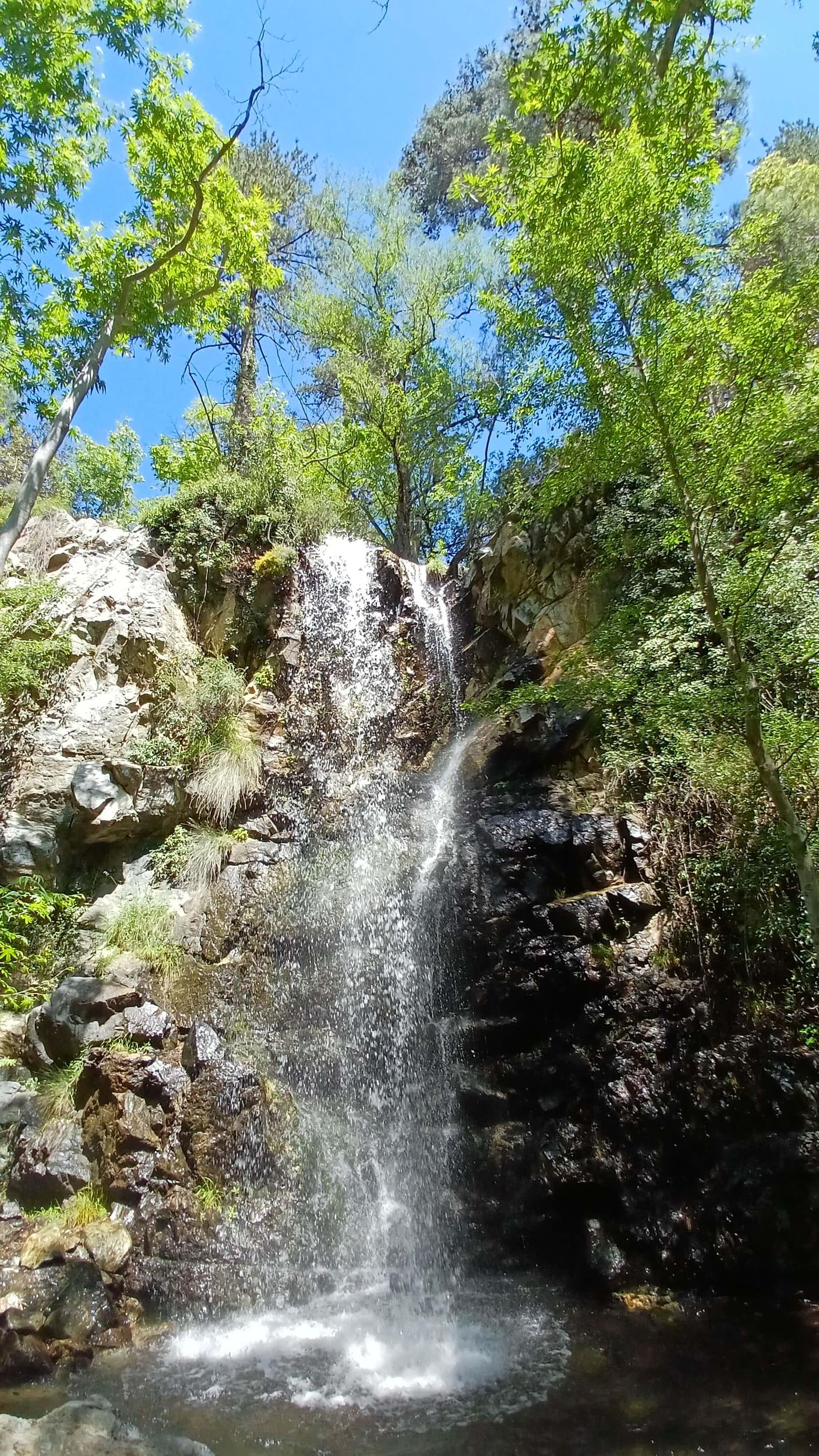 Troodos-Gebirge: Waldwanderung & Wasserfall-Tour