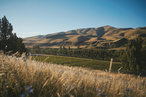 Christchurch: Waipara Wine Tour with Tastings & Lunch