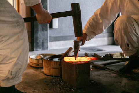 Från Nagoya: Gifu 2-dagars tur med Ukai Museum och Onsen