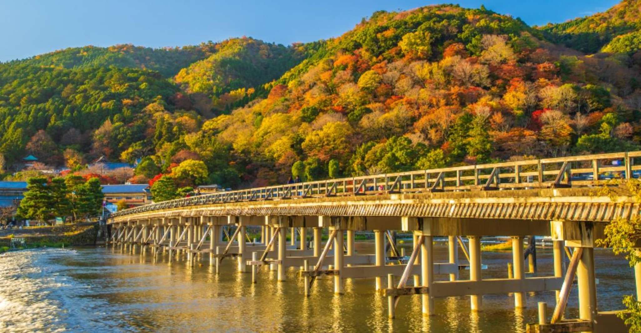 From Osaka/Kyoto: Kinkakuji, Arashiyama, FushimiInari, Nara photo 11