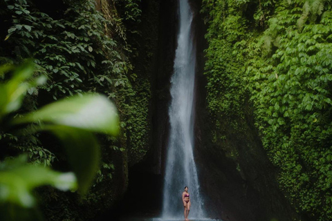 Bali: Discover Jungle Waterfalls and Rice TerracesPrivate Tour with Entry Tickets