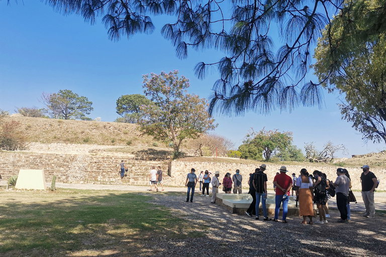 Visite guidée d&#039;une journée sur la route du Monte AlbanBillets et repas inclus