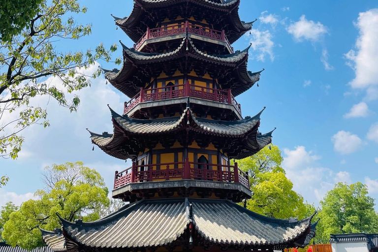 Shanghai: Old Temples and New high Tech Robots Day Trip