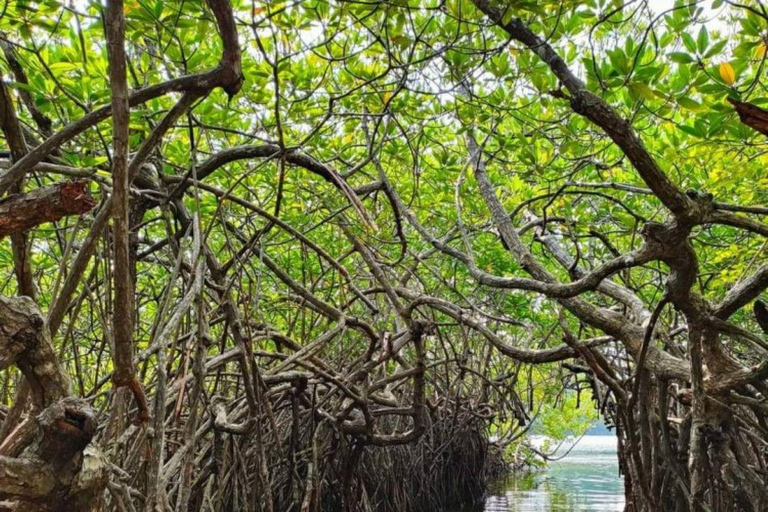 Z Kolombo/Negombo - jednodniowa wycieczka do fortu Galle i plaży Bentota