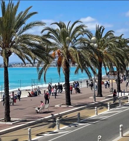 Visit Nice Old Town & Castle Hill Informative Guided Walking Tour in Nice, France
