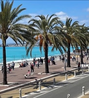 Bonito, Old Town & Castle Hill Informative Guidition Walking Tour - Housity