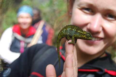 UGANDA RWENZORI — WATERFALLS &amp; MONTANE ALLURE | 6-Day Hike