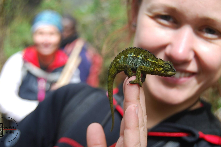 UGANDA RWENZORI — WATERFALLS & MONTANE ALLURE | 6-Day Hike