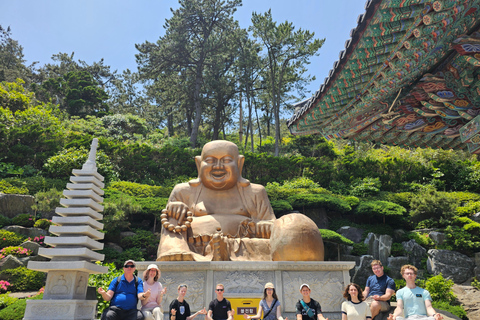 Busan: Private Customized Tour with Licensed Guide & Vehicle 4-hour private tour with a exclusive vehicle