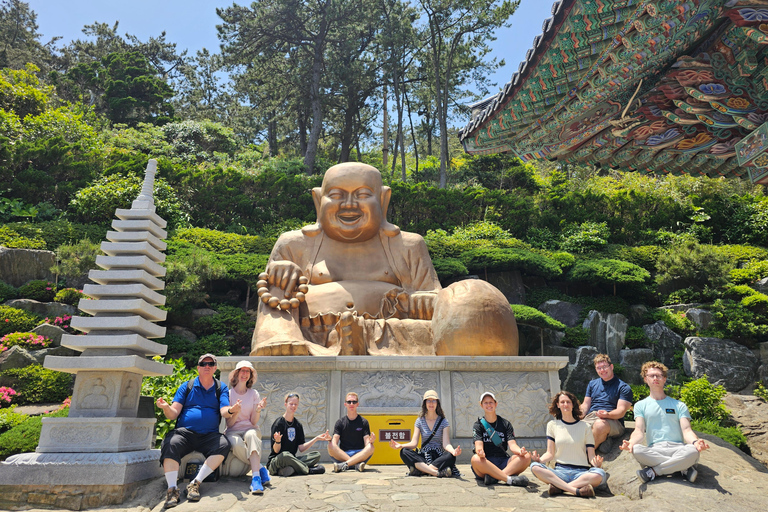 Busan: Private Customized Tour with Licensed Guide & Vehicle 4-hour private tour with a exclusive vehicle