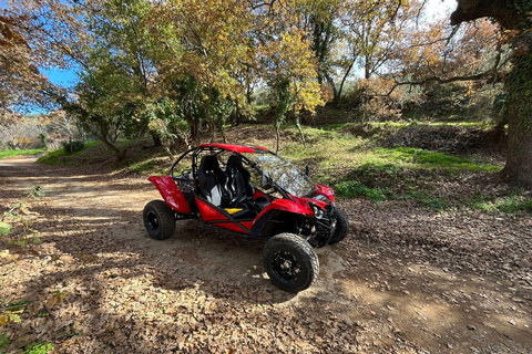 Hersonissos: Buggy Safari Adventure Tour Hersonissos: Buggy Safari Adventure with Transfer