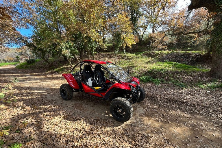 Hersonissos: Buggy Safari Adventure Tour Hersonissos: Buggy Safari Adventure with Transfer