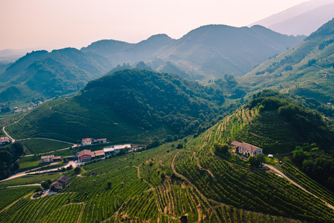 From Venice: Prosecco Hills tour with Wine, Spritz and Asolo