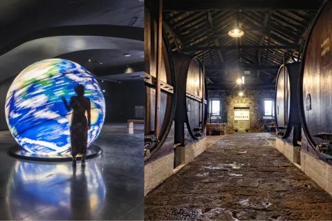 Fonseca Cellar Tour + The Wine Experience Pack
