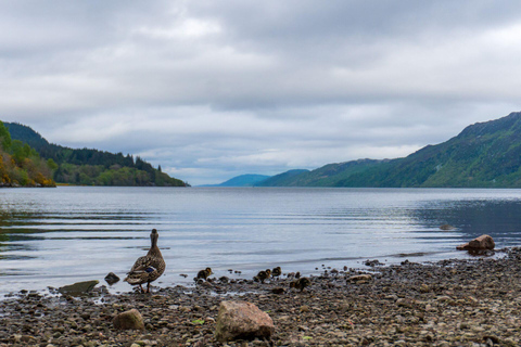Edinburgh: Glenfinnan Viaduct & Highlands Day Trip