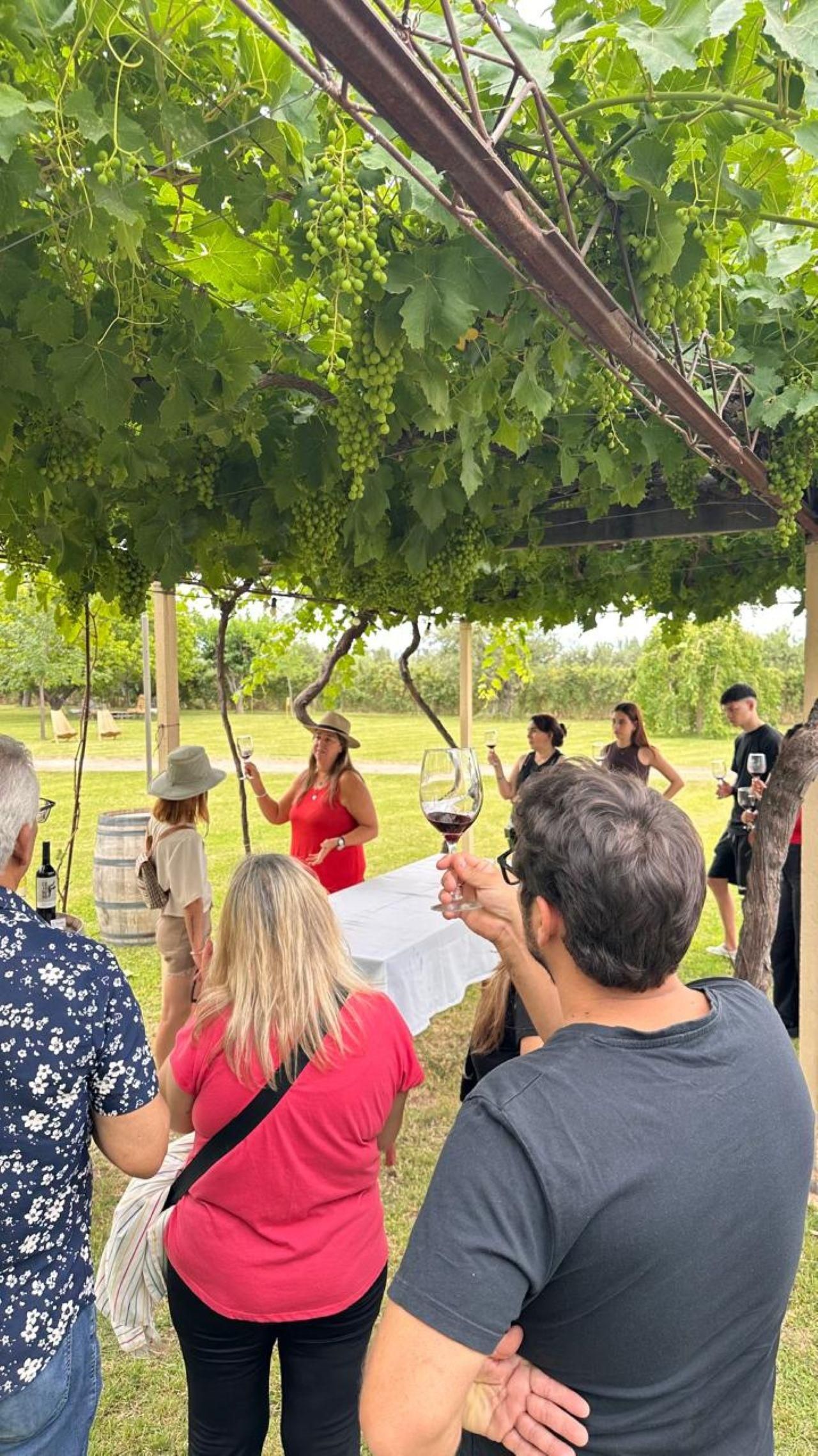 Mendoza: mit 9 Weinverkostungen in 3 Weingütern plus Olivenhain in Maipu