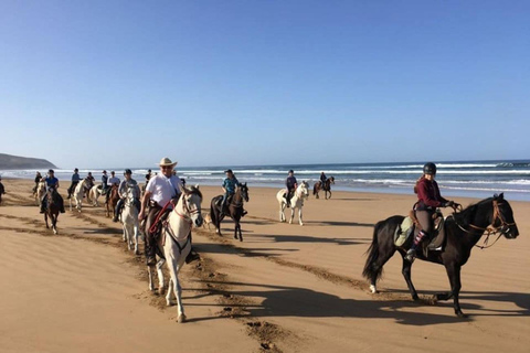 Agadir e Taghazout: Passeggiata a cavallo di 2 ore sulla spiaggia al tramontoTour di 2 ore in inglese, francese, tedesco o polacco