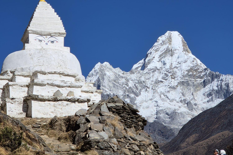 14-Day EBC Trek with Sherpa-Led Culture & Food Experience