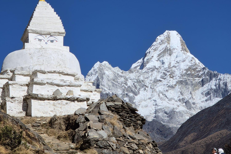 14-Day EBC Trek with Sherpa-Led Culture & Food Experience