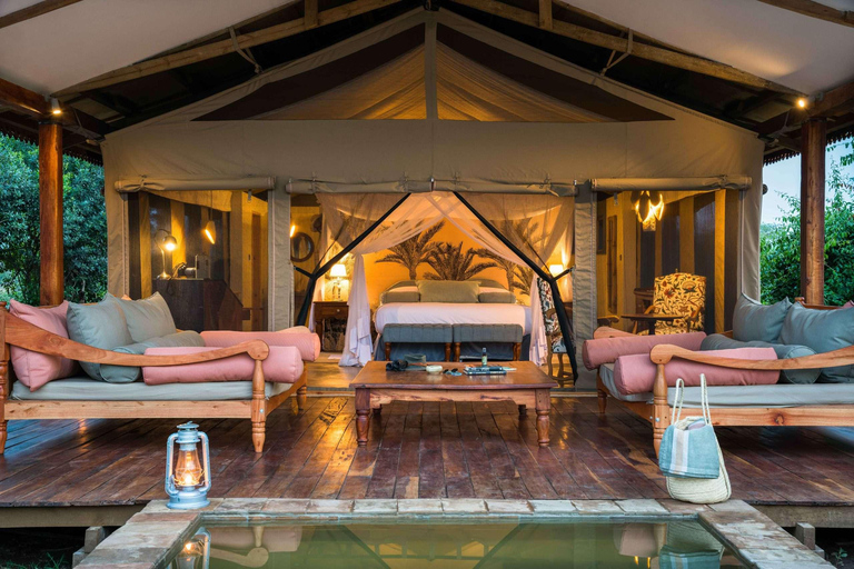 Entebbe : Safari de luxe dans le parc national Queen Elizabeth