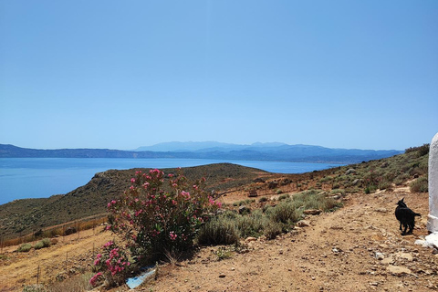 خانيا: جولة سفاري جيب بالوس 4 × 4 من كيساموس