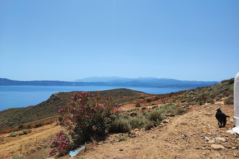 خانيا: جولة سفاري جيب بالوس 4 × 4 من كيساموس