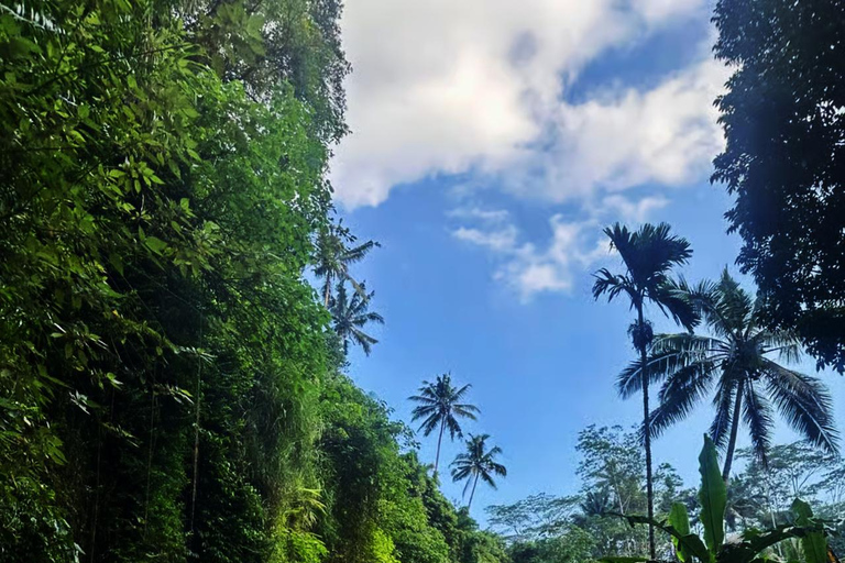 Ubud: Hidden Canyon River Tubing & Jungle Adventure